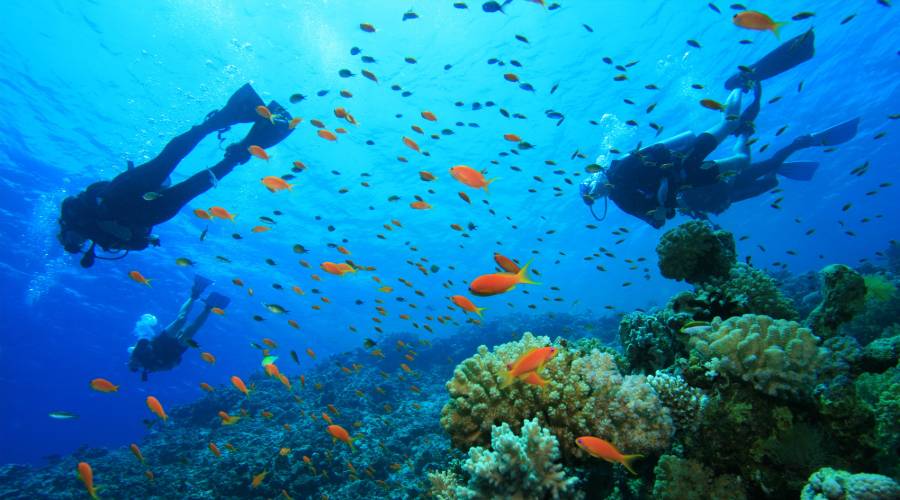bodrum diving